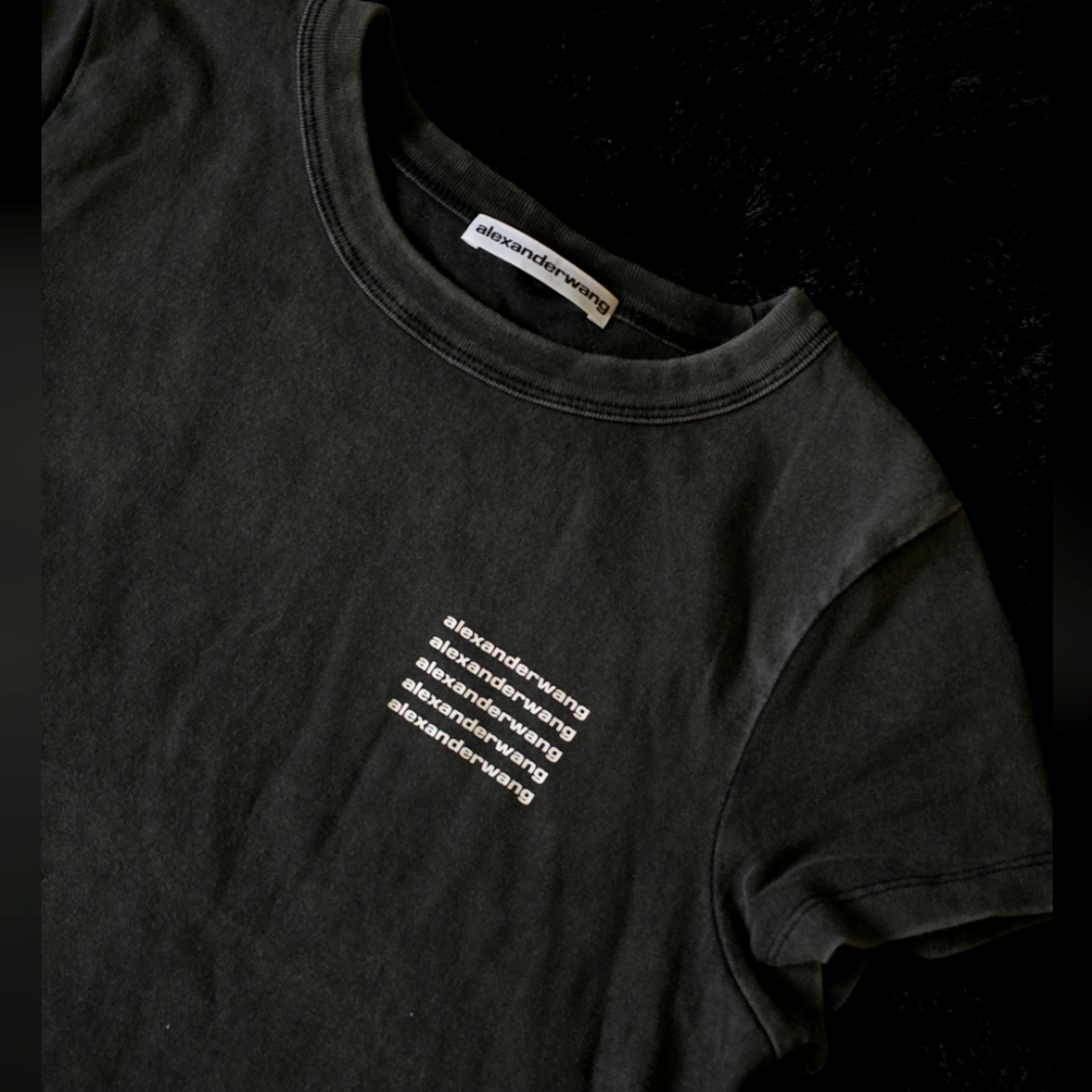 Alexander Wang T